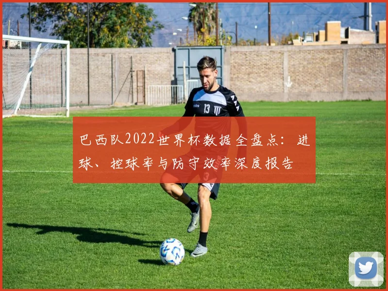 巴西队2022世界杯数据全盘点：进球、控球率与防守效率深度报告