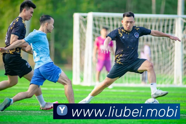 云开体育app官网入口登录网页版平台生态图